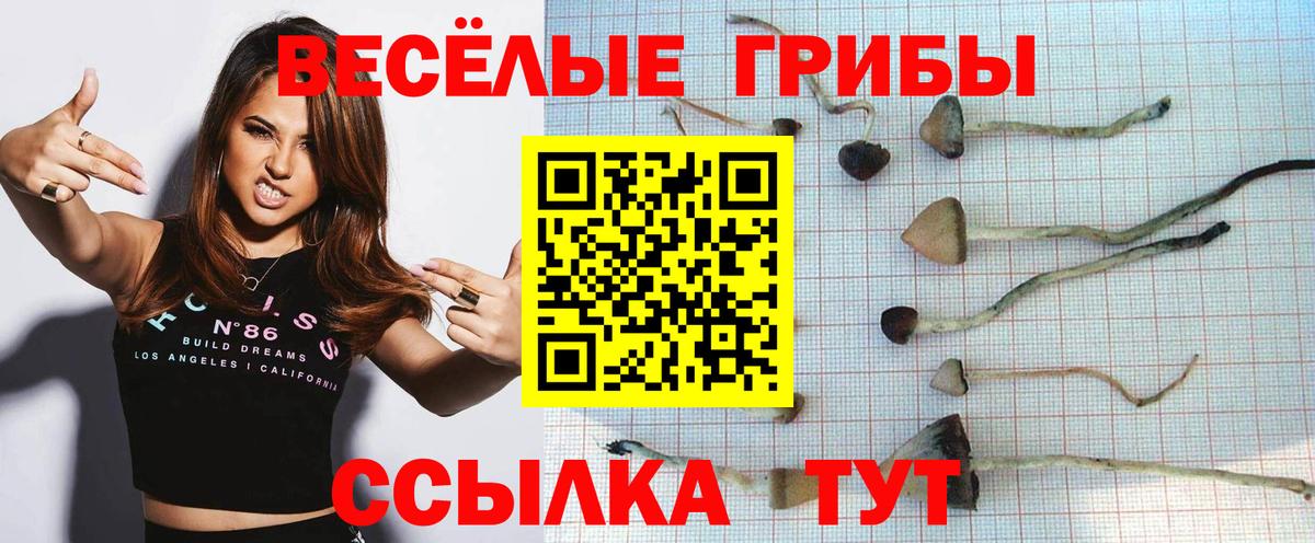 Псилоцибиновые грибы Psilocybine cubensis  Вход с VPN  Ижевск 